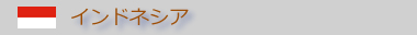 �C���h�l�V�A