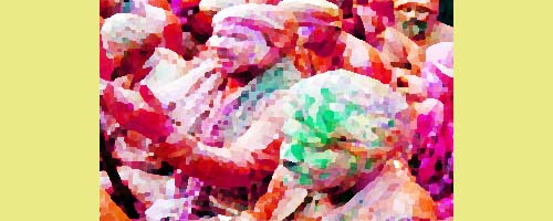 holi video song mp4